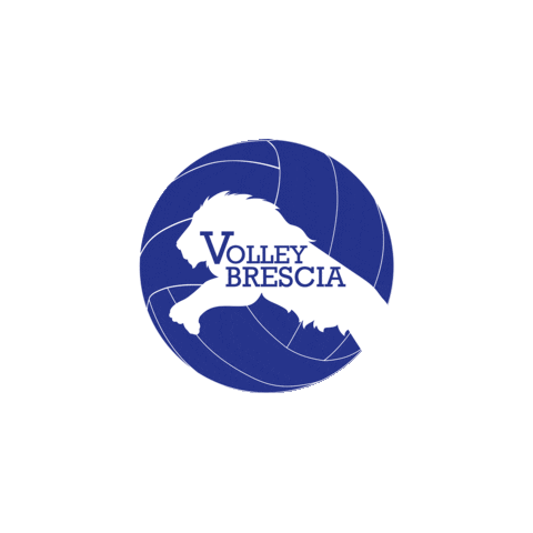 volleybrescia.it Sticker