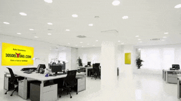 Del Toro Insurance GIF
