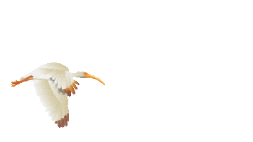 The Club at Ibis Sticker