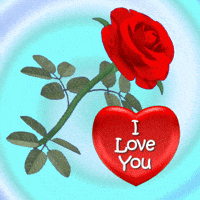Heart Miss Gifs Get The Best Gif On Giphy