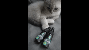 HEMPNORD GIF