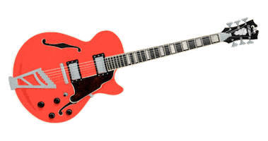 Rock On Summer Sticker by DANGELICOGUITARS