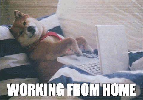 Work From Home GIF by MOODMAN