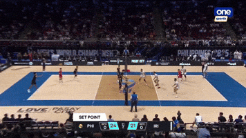World Championship Volleyball GIF