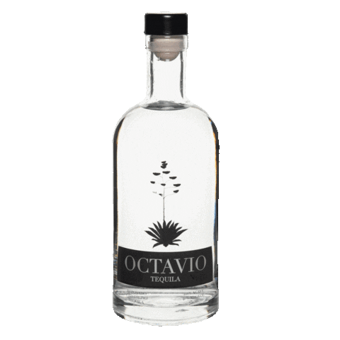 Octavio Tequila Sticker