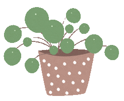 Flower Plant Sticker