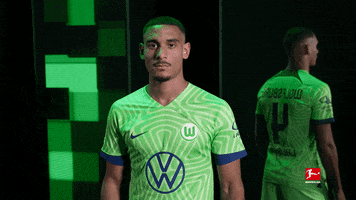 Wolfsburg Arnold GIF by Bundesliga