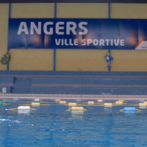 Ville_Angers swim angers piscine swimmingpool GIF