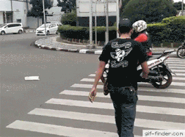 road crossing GIF
