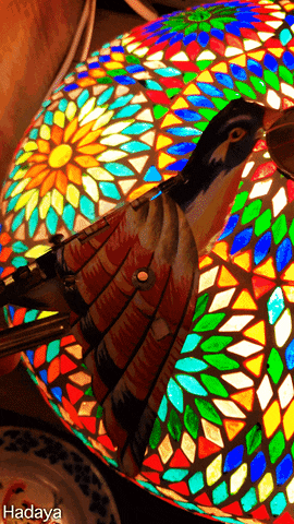 Vogel Huis GIF by Hadaya