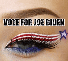 Vote For Joe GIF