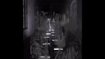 Borondo GIF