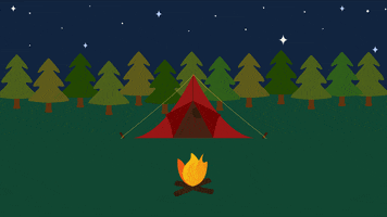 Camp Quarantine GIF