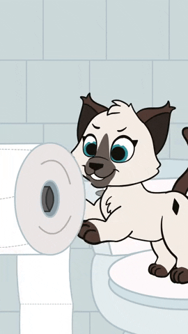 Playing Toilet Paper GIF