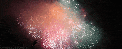 new years fireworks GIF
