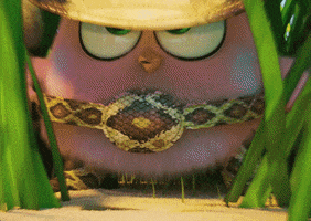 Snake Hatchlings GIF by Angry Birds