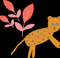 Moozle GIF
