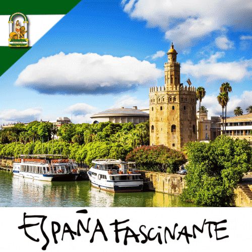 Spain Sevilla GIF by España Fascinante - Find & Share on GIPHY