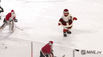 Ice Hockey Christmas GIF by NHL