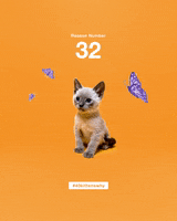 200.gif?cid=fc005b08ddf42e6421e719260b4e9c9063a9ad3e1538957a&rid=200.gif&ct=g