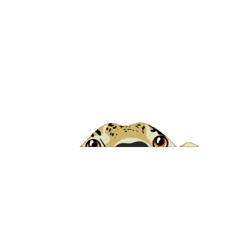 Panthera Onca Jaguar Sticker by Orelha de Onça