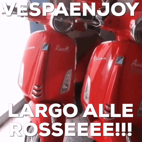 VespaEnjoy GIF