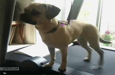 said day GIF