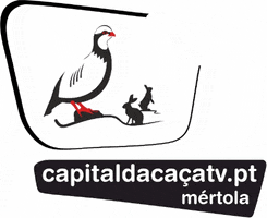 Caca Partridge GIF by Câmara Municipal de Mértola