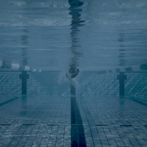 Summer Swimming GIF by 2XU