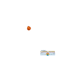 200.gif?cid=fc005b08b62079ef6d245112fb837438861f810290f02ea9&rid=200.gif&ct=g