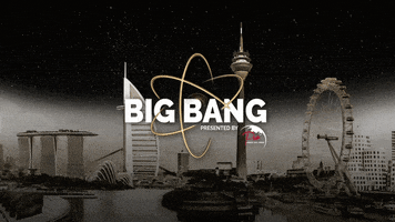 Big Bang Shop GIF by BigBangStore