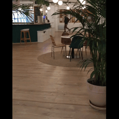 GIF by morningcoworking