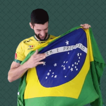 Flag Brazil GIF by Aluron CMC Warta Zawiercie