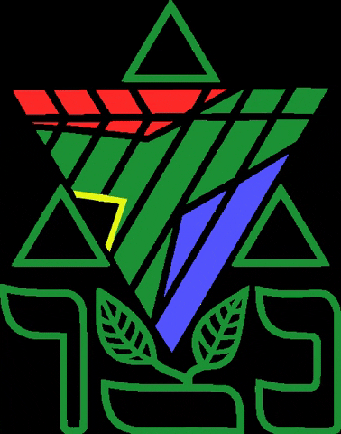 Netzer South Africa GIF