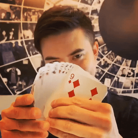 Magician Card Tricks GIF by Pretty Dudes