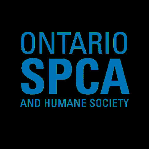 Ontario SPCA GIF