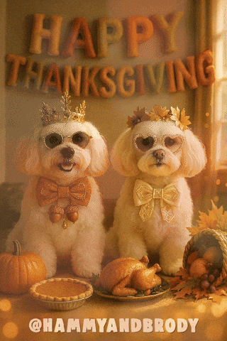 Dog Puppy GIF by HammyandBrody