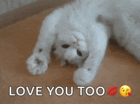 I Love You More Gifs Get The Best Gif On Giphy