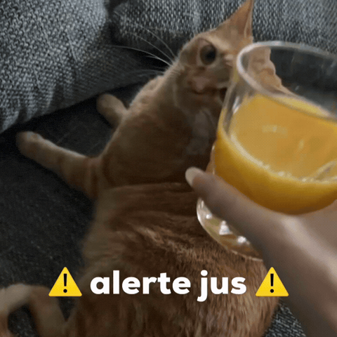 Alerte Jus GIF
