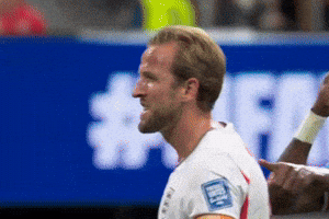 Harry Kane Football Meme GIF
