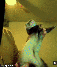 hacettepehaydok GIF