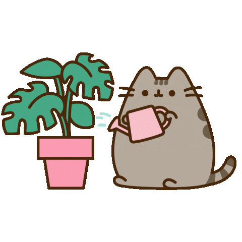 Source: Pusheen