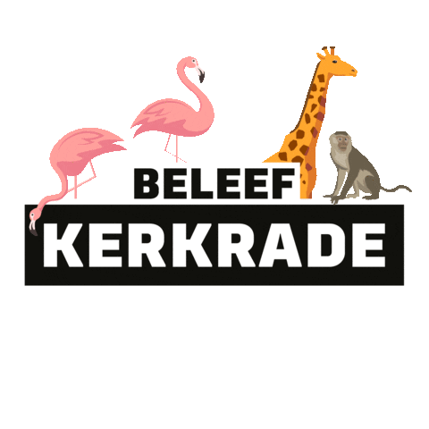 Beleef Kerkrade Sticker