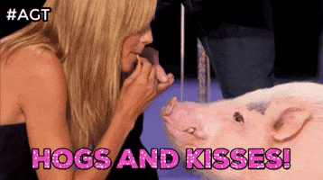 Pig Love GIF by chuber channel