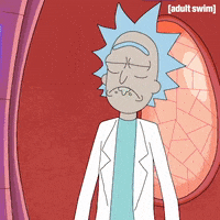 Season 2 Episode 3 GIF by Rick and Morty