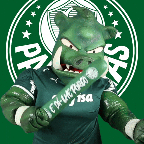 Angry Soccer GIF by SE Palmeiras