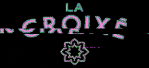 lacroixe GIF