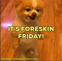 Its Friday GIF by Foreskin Revolution