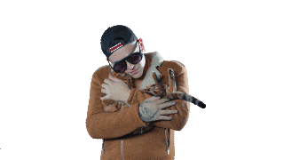 Ppp Ruleta Rusa Sticker by Kevin Roldan