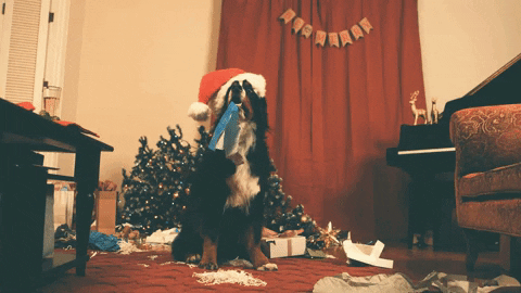 Puppy oops gif by evite - find & share on giphy